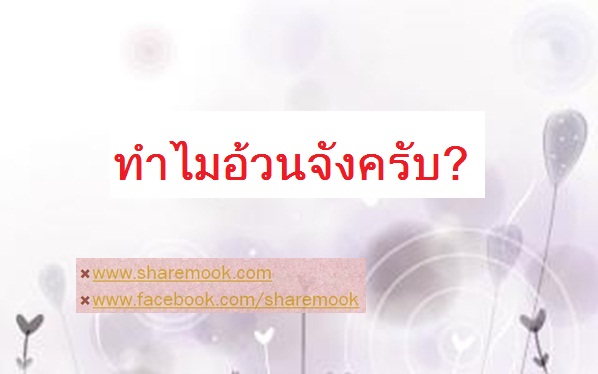 ทำไมอ้วนจังครับ?