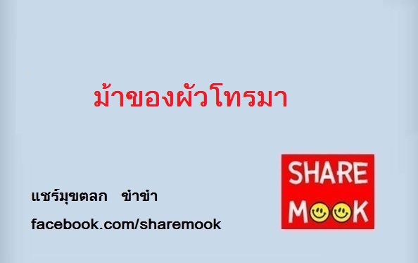 ม้าของผัวโทรมา